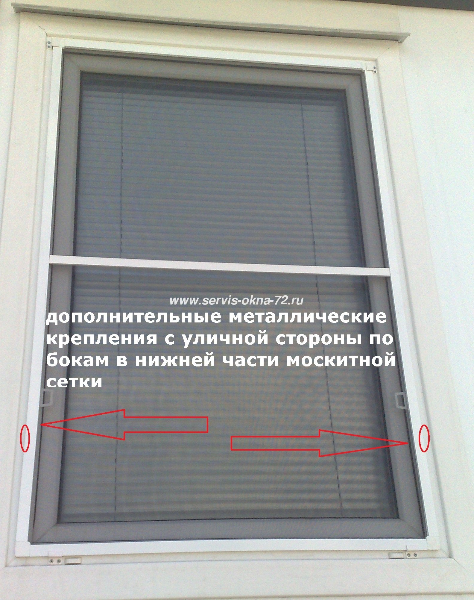 Москитная сетка Антикошка/Антикот (Pet screen)